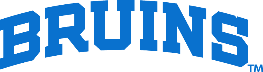 UCLA Bruins 2017-Pres Wordmark Logo DIY iron on transfer (heat transfer)
